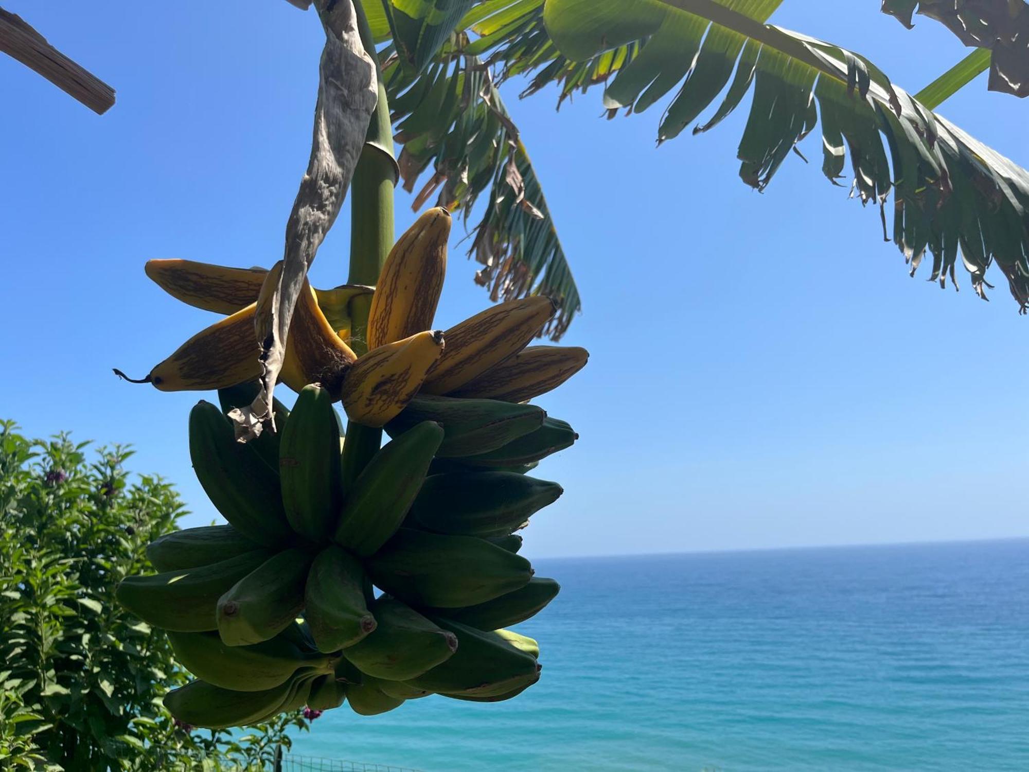 Casa Monnalisa - Calandre Sabbie Oro Villa Ventimiglia Dış mekan fotoğraf